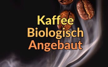 Biologisch angebauter Kauffee