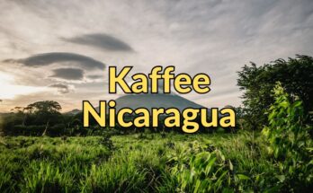 Kaffee aus Nicaragua